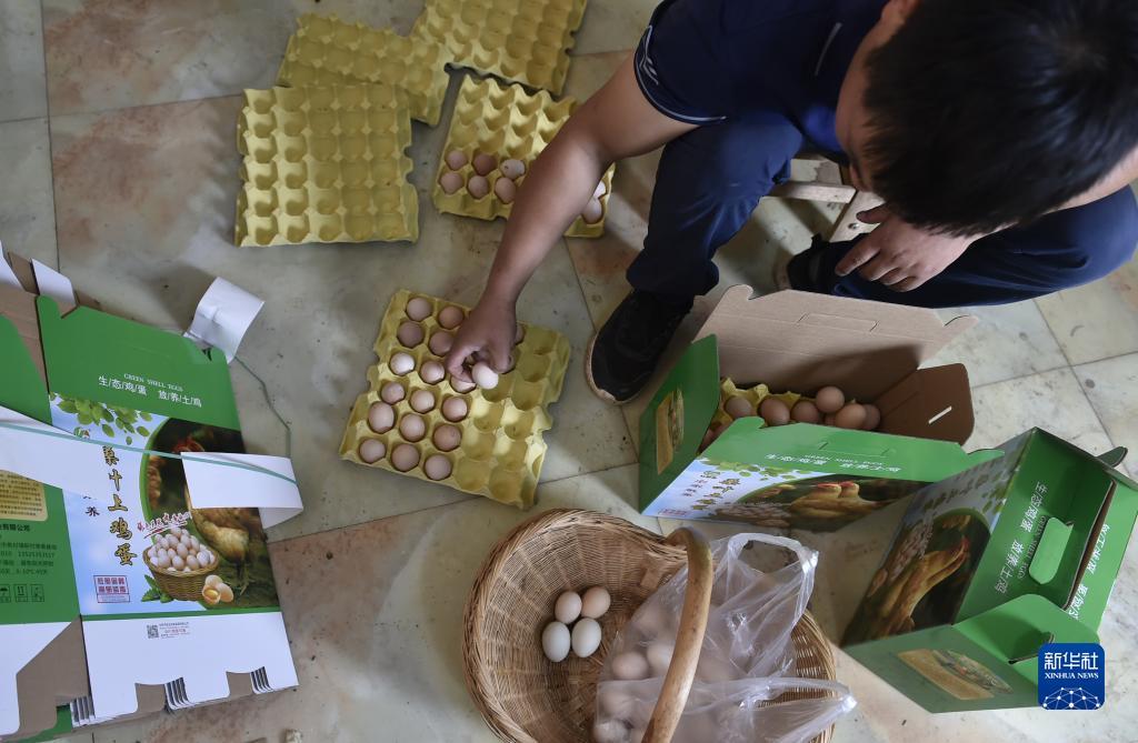 捕鱼大作战官网
